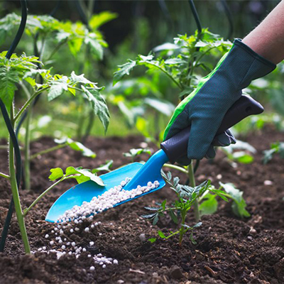 Hnojivo – správny postup a výber hnojív je základ úspechu!